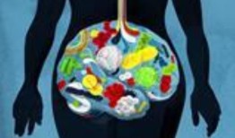 塑料化学品审查显示，数千种化合物几乎没有安全数据