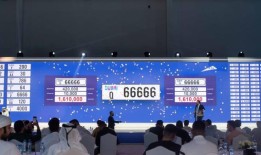 迪拜：豪华车牌拍卖成交额超过5100万迪拉姆