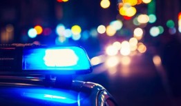 警方称，阿拉巴马州一位房主用枪指着窃贼