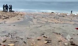 俄罗斯石油泄漏污染了50公里的黑海海滩