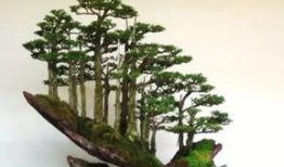 盆景碎纸机：环保与美观的完美结合，让您的生活更美好！