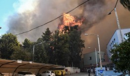 希腊野火爆发后医院疏散
