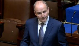 Tánaiste对Oireachtas间谍声明的“从众”反应感到“惊讶”