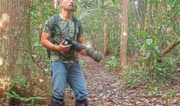 遵循以下建议，开始你的马来西亚观鸟之旅吧