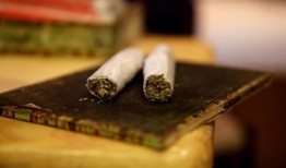 丹佛社会公平大麻企业主找到成功的行业