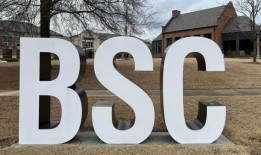 伯明翰南方航空公司再次向国家财政部长扬·布泽尔申请3000万美元的国家贷款