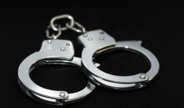 谢尔比县一男子因16项儿童色情指控被捕;以39万美元保释金持有