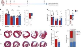 梅拉尼娅·特朗普的回忆录在发行前几周飙升至亚马逊“畅销书”排行榜的榜首