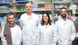 研究揭示了高度加工食品对大脑新陈代谢和嗅觉的影响