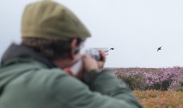 英国的动物权利保护者突然袭击了松鸡和猎物的猎人