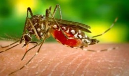 哈维·韦恩斯坦因感染新冠肺炎和其他疾病再次住院