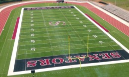 黑兹尔·格林，斯帕克曼足球比赛因“重大干扰”暂停