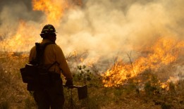 加州野火肆虐，消防员正在努力控制火势