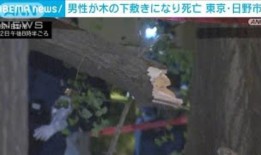 讨厌太空的日本宇航员：秋山丰裕