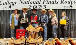 天气，大型猫科动物，大学竞技：阿拉巴马州