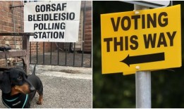 2024年大选选民可以使用什么带照片的身份证？