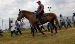 调查揭示了美国监狱劳工如何支持许多受欢迎的食品品牌