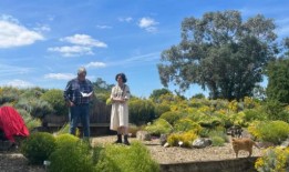 萨福克植物园的圣托利纳收藏奖