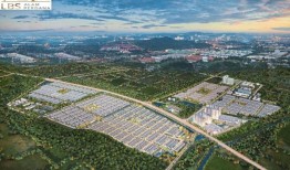 伦敦商学院将投资组合多样化，以实现可持续增长