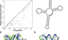 基于人工智能的RNA三维结构预测新方法