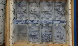 1329只小蜗牛在偏远的岛屿上被释放