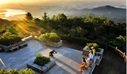 大岭山森林公园：自然之美与生态之乐