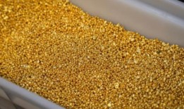 随着美元走软，黄金价格下跌，收益率上升