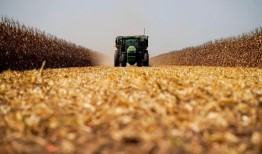 调查揭示了美国监狱劳工如何支持许多受欢迎的食品品牌