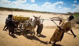 解释者：为什么肯尼亚被开发银行视为气候风险高的国家