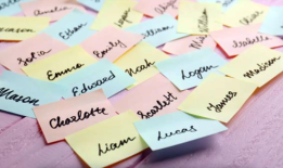 夏洛特和诺亚是罗德岛最受欢迎的婴儿名字