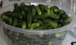 6件3.49兹罗提后，我没有去，而是跑去行动我把这个问题一笔勾销了那罗斯曼呢？