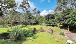 Hulu Langat是大自然爱好者的绿色度假胜地