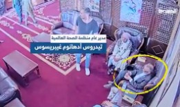 世卫组织总干事逃脱以色列空袭（视频）