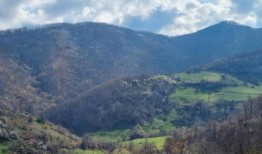 斯特里克兰在塞尔维亚发现了巨大的3.08亿金铜矿