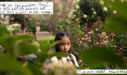 小学生试图通过写信运动拯救伊丽莎白街花园