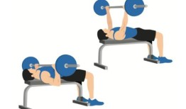 教练的#1每周锻炼减肥和增加肌肉