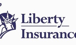 自由推出了新的汽车保险，让投保人坐在驾驶员的座位上