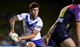 归来的斗牛犬塞克斯顿给了社交媒体一脚踢