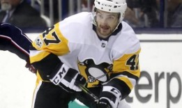 亚当·约翰逊颈部曲棍球砍杀案嫌犯被捕