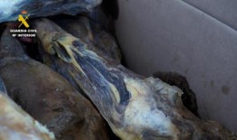 塞维利亚因健康风险被查获火腿