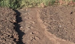 比对了在大西洋两岸发现的恐龙脚印