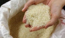 印度限制大米出口，将巴基斯坦大米出口推向历史新高