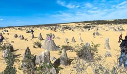 马来西亚讲师在西澳大利亚州尝试玩沙板