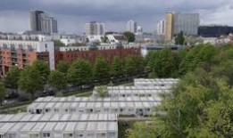 德国向欧盟表示无法接收更多移民