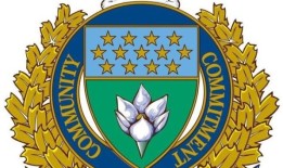 嫌犯持枪闯入马格努斯大道后被捕：温尼伯警方