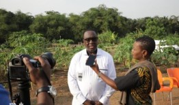 IITA新任负责人表示，非洲粮食安全的时间紧迫