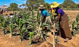 第一人称：水是马达加斯加南部培养经济独立的关键