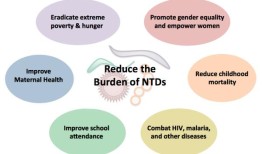 2024年世界被忽视热带病日：世卫组织探讨消除被忽视热带病的全球行动