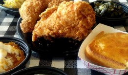 旨在帮助阿拉巴马州黑带社区获得替代燃料项目的新计划：评论