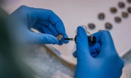 1329只小蜗牛在偏远的岛屿上被释放